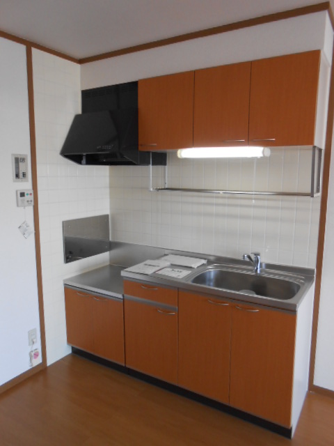 Kitchen. Gas stove (2 burners) corresponding