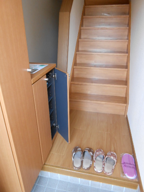 Entrance. Ceiling height shoe box
