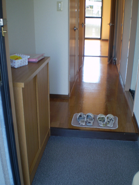 Entrance. Shoe box equipped