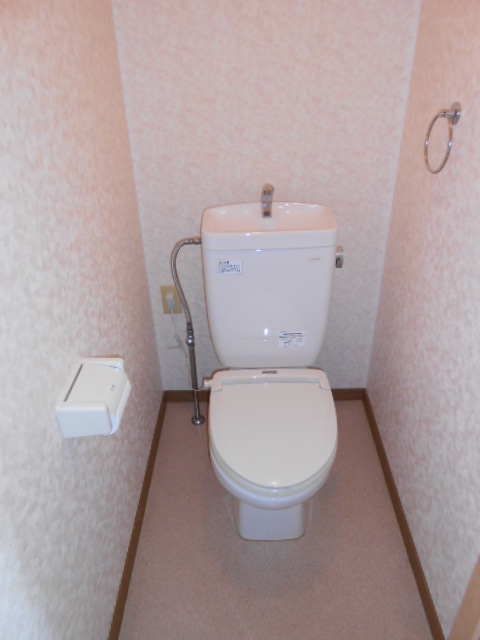 Toilet. Heating toilet seat equipped