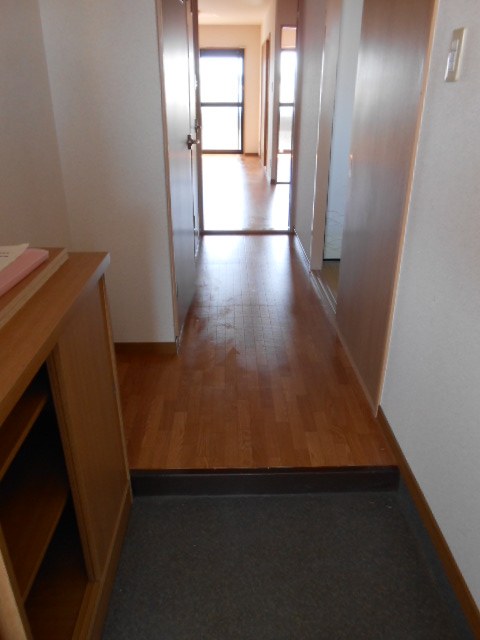 Entrance. Shoe box equipped