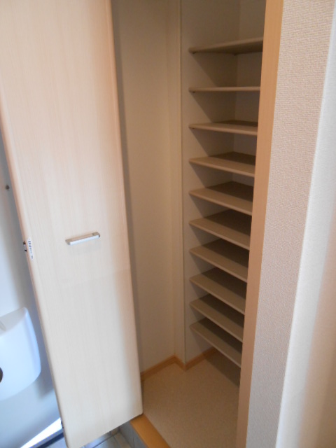 Entrance. Ceiling height shoes closet equipped