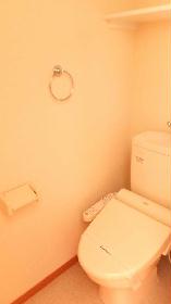 Toilet. Bidet