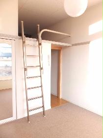 Living and room. With loft