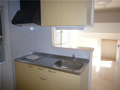 Kitchen. Face-to-face counter kitchen. IH cooking heater is.
