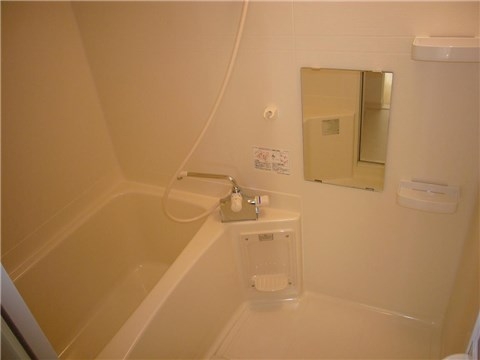 Bath. Bathroom is dry in bath.