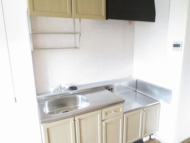 Kitchen. Western-style during the renovation!