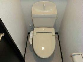 Toilet. Toilet has become a heated toilet seat.