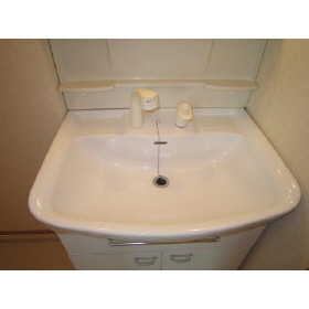 Washroom. Shampoo dresser