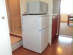 Other. microwave, Fridge