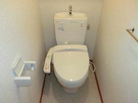 Toilet. Cleaning function toilet