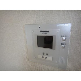 Security. TV monitor interphone