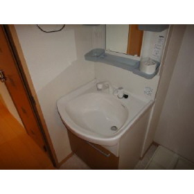 Washroom. Shampoo dresser