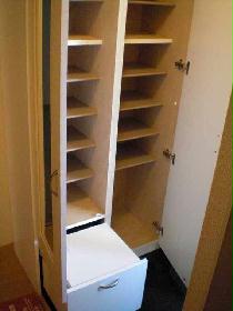 Other. It is a shoebox of a large capacity