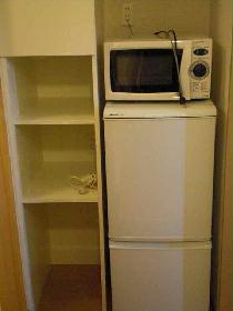 Other. Fridge and storage. There is securely housed.