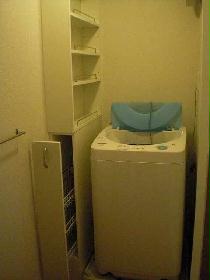 Other. There is a washing machine in the dressing room.