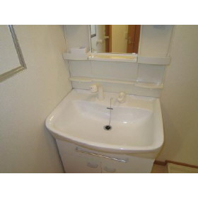 Washroom. Shampoo dresser