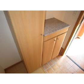 Entrance. Large capacity shoes BOX