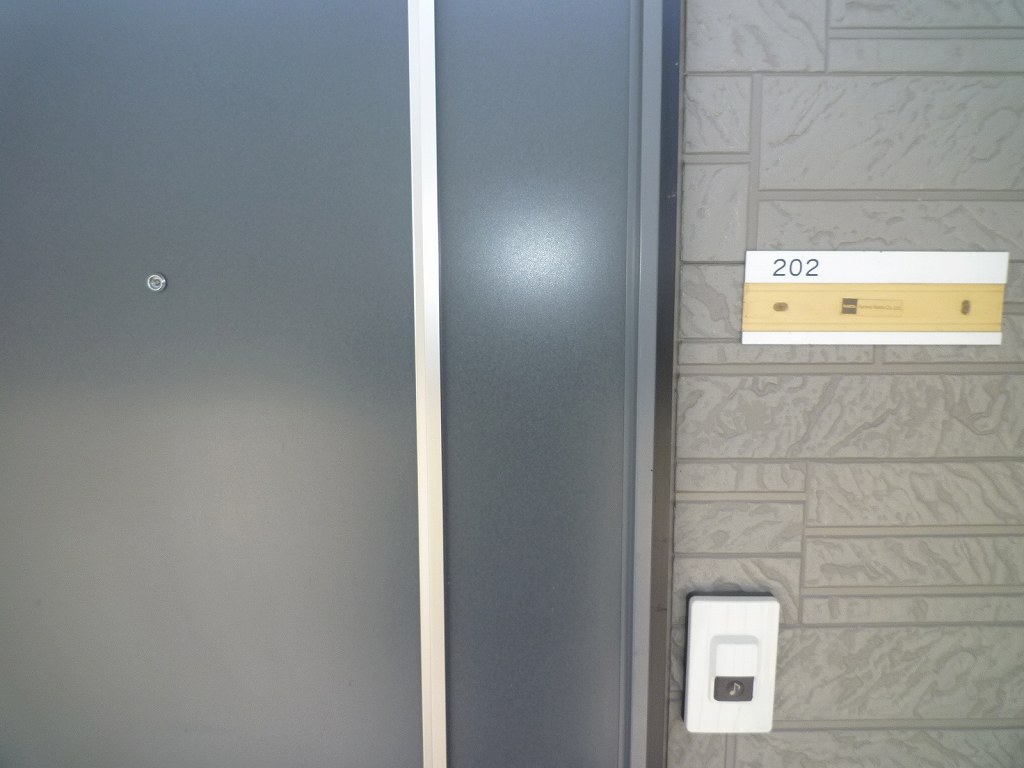 Entrance. The same type of room (No. 202 room)