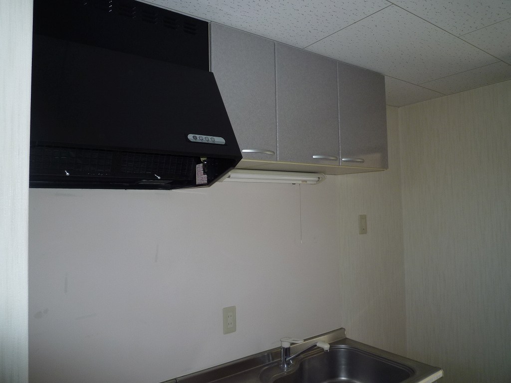 Kitchen. The same type of room (No. 202 room)