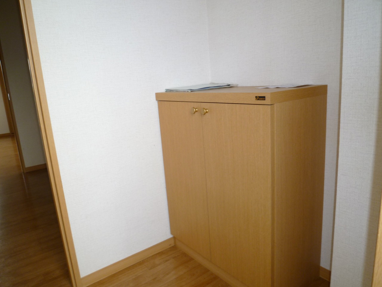 Entrance. The same type of room (No. 301 room)