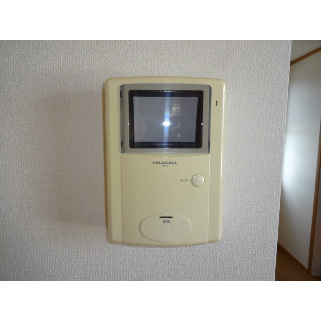 Security. TV monitor interphone