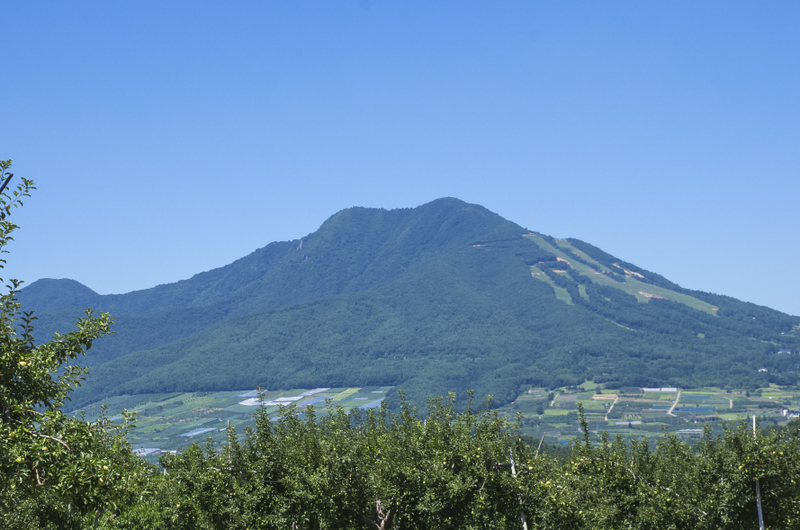Government office. 563m to Yamanouchi town office (government office)