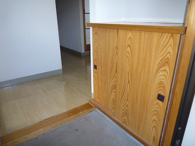 Entrance. The same type of room (No. 203 room)