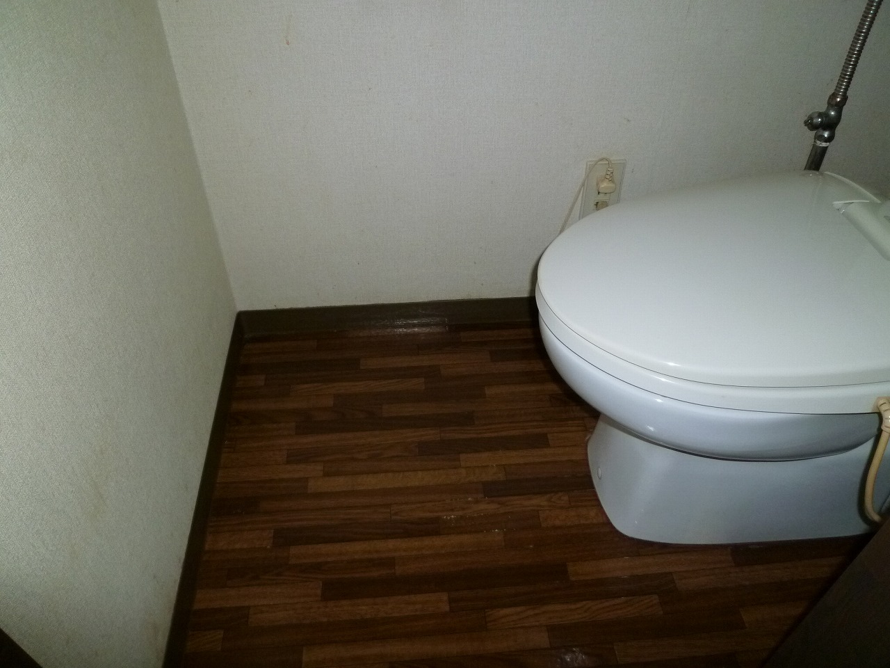 Toilet