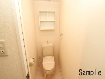 Toilet. Shower toilet & Shelved.