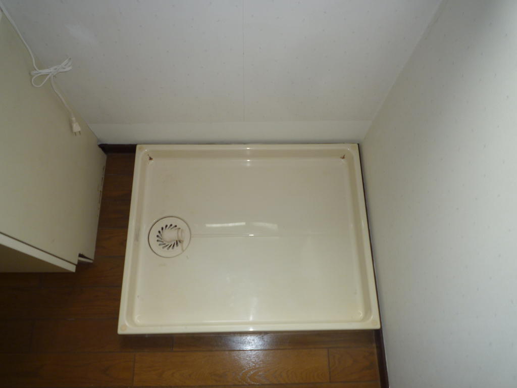 Washroom. Washing machine Storage