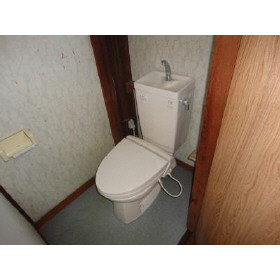 Toilet. Flush toilet