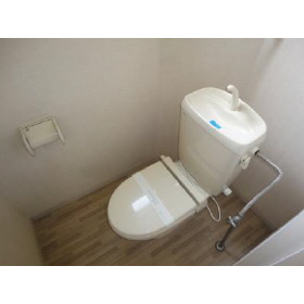 Toilet. Clean your toilet