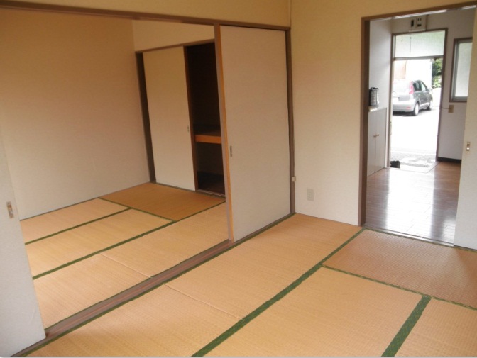 Living and room. Living