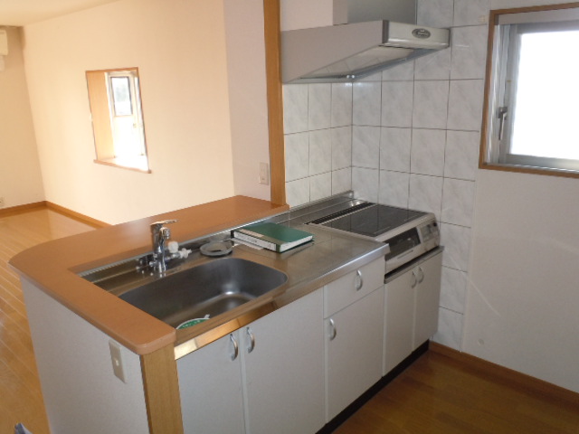 Kitchen. Popular face-to-face kitchen