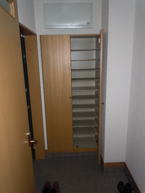 Entrance. Shoe box that many shoes to enter