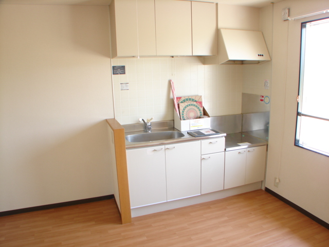 Kitchen. Gas stove will put those of standard size