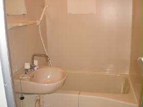 Bath. With bathroom dryer Shower