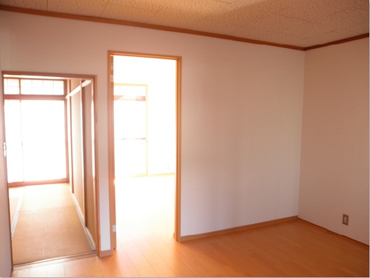 Living and room. Living