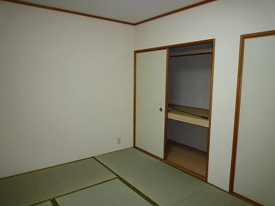 Other introspection. Japanese style room