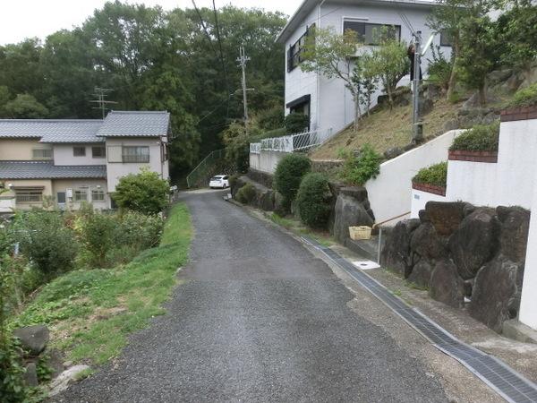 Local photos, including front road. It is the state of the front road!