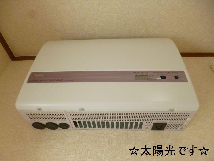 Other.  ☆ It is sunlight ☆ 