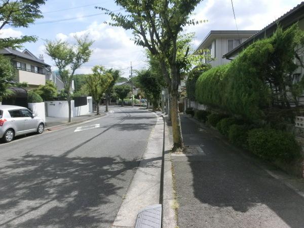 Local photos, including front road. There front road width 10m! !