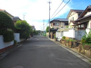 Local photos, including front road