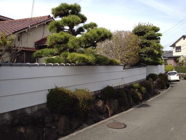 Local land photo. It is calm living environment