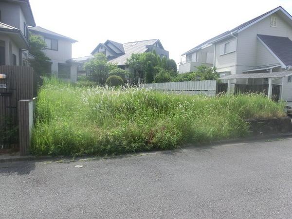 Local photos, including front road