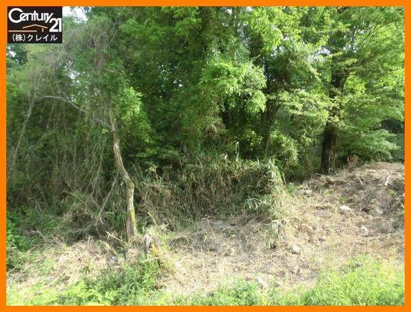 Local land photo. Not construction.