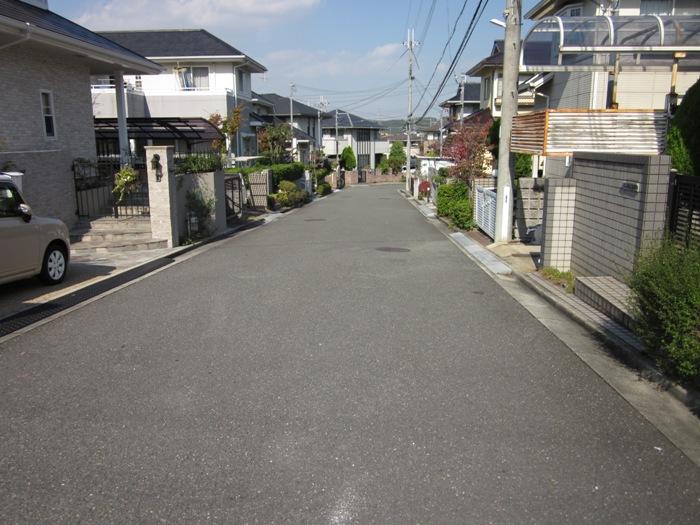 Local photos, including front road. Local (11 May 2013) Shooting