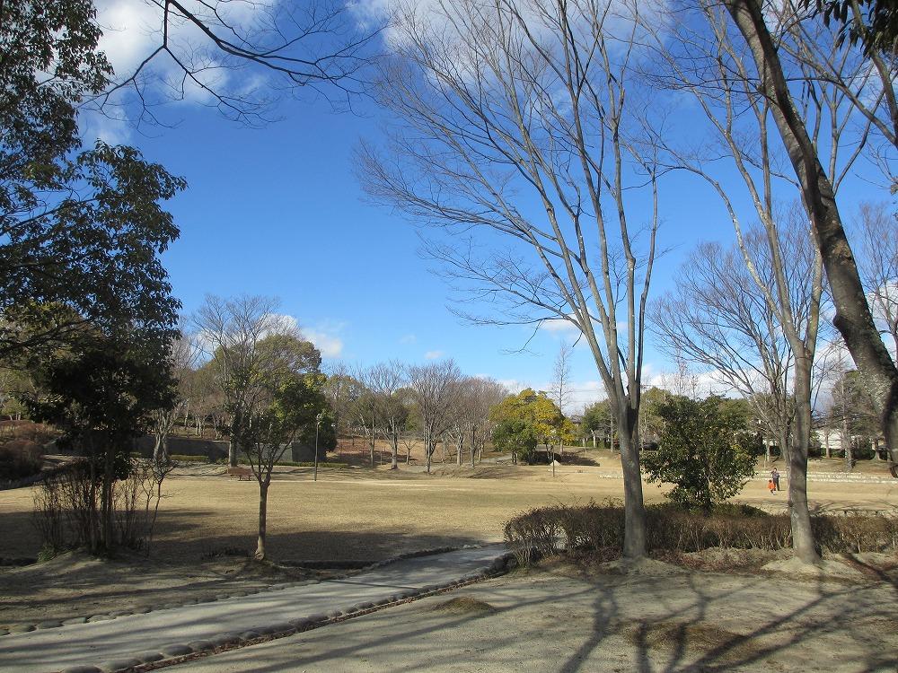 Other. Shikanodai Central Park