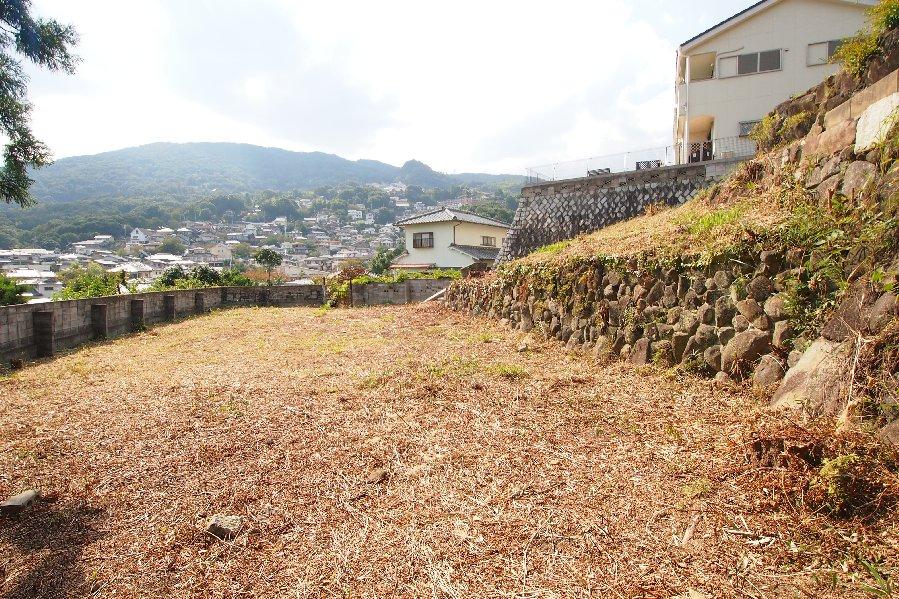 Local land photo. The third stage